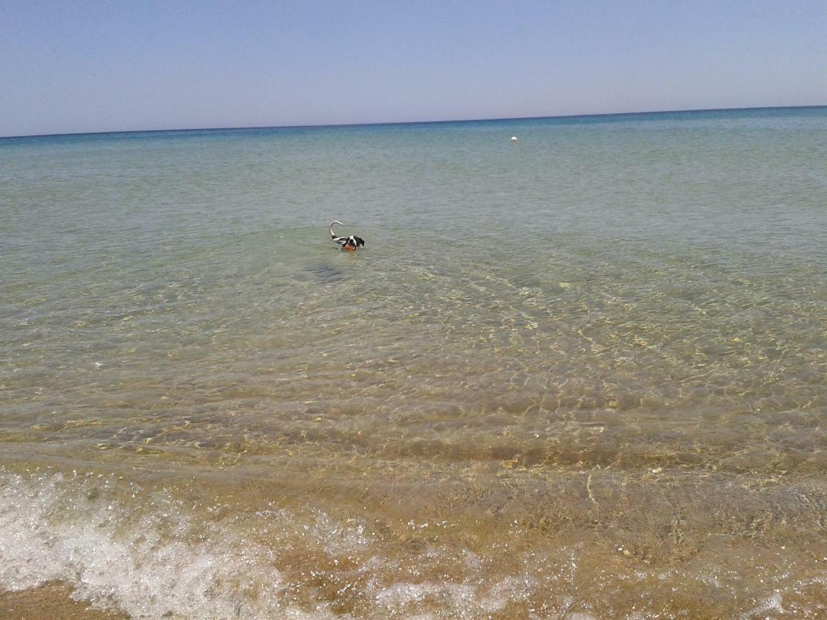 Profumo Di Mare Fronte Spiaggia Lido di Noto Экстерьер фото